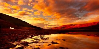 Jaki majątek ma przeciętny Niemiec?