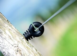 Ile Polaków mieszka w Japonii?