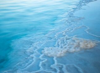 Jakie jest najbardziej zasolone morze na świecie? Jakie jest najbardziej zasolone morze na świecie?