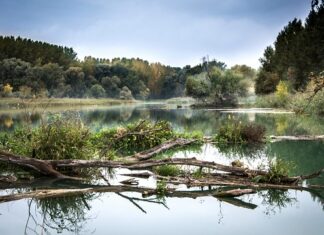 Co się pije na Słowacji? Co się pije na Słowacji?