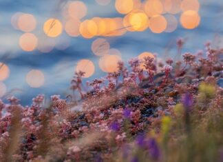 Czy Estonia jest tania?