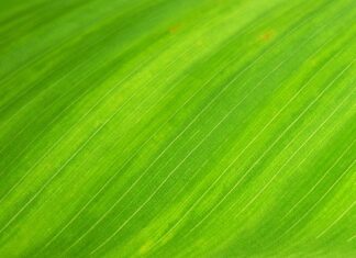 Kto żył na terenie Polski?