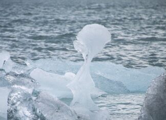 Jak mężczyzna reaguje na piękną kobietę?