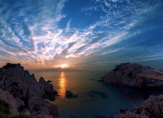 Czy w Korei są komary?