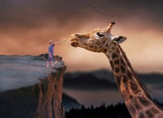 Co jeść aby żyć długo?