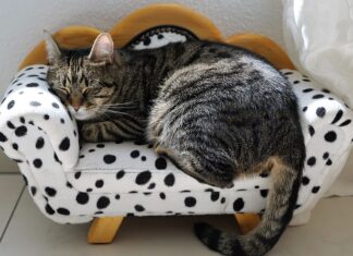 W jakich godzinach Włosi mają sieste?