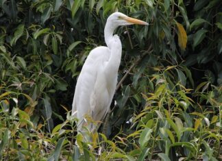 Czy opłaca się mieszkać we Włoszech?