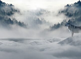 Jak wygląda zima we Włoszech?