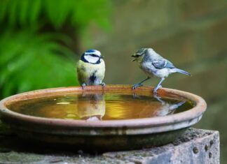 Jak się mówi dzień dobry we Włoszech? Jak się mówi dzień dobry we Włoszech?