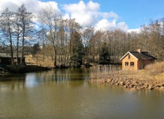 Jakie jest najbardziej zaludnione miasto na świecie?