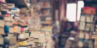 Czy w Wenecji są komary?